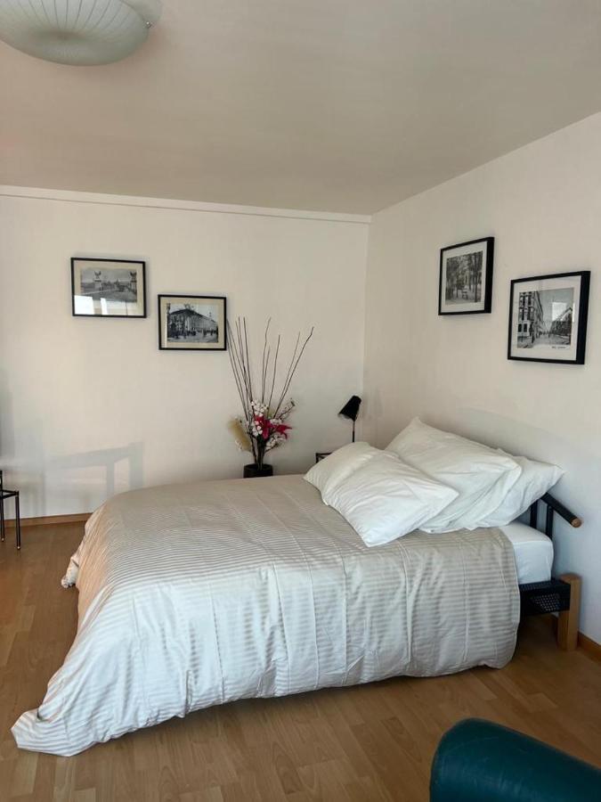 Schweiz Daire Basel Dış mekan fotoğraf