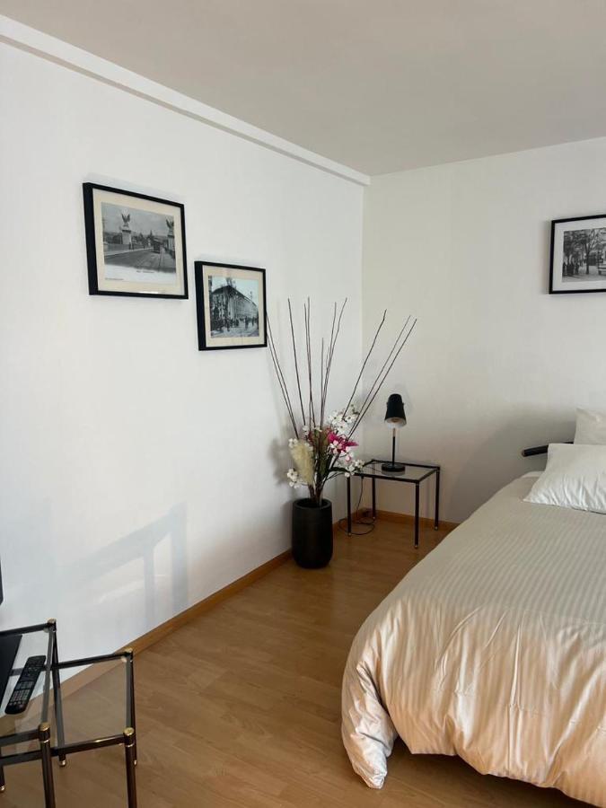 Schweiz Daire Basel Dış mekan fotoğraf