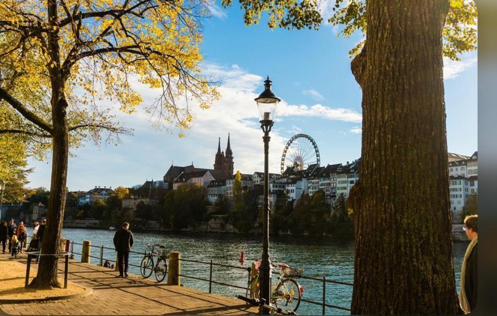 Schweiz Daire Basel Dış mekan fotoğraf