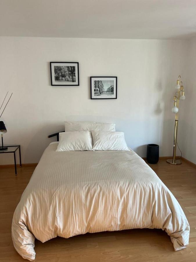 Schweiz Daire Basel Dış mekan fotoğraf